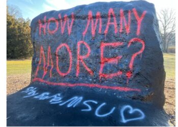 rock painted with words in red “how many more”