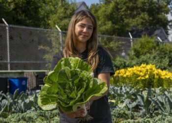 Dolores Perales, Co-director of Cadillac Urban Garden, stands with a freshly harvested bok choy.