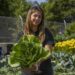 Dolores Perales, Co-director of Cadillac Urban Garden, stands with a freshly harvested bok choy.