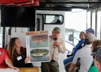 Detroit River Nonprofit Targets Wetlands Loss with Island Habitat Restoration