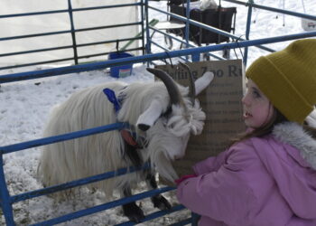 The Sun Shined Brightly on this Year’s Clark Park Winter Carnival!
