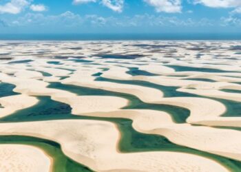 Dunes of Jericoara and Nélida Piñón