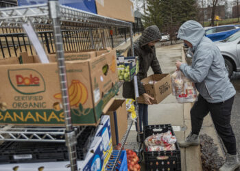 Volunteers collect fresh food to deliver to immigrant families.