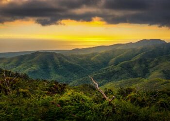 Chess Genius and Topes de Collantes, Cuba